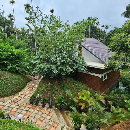 Casta Wild Resort Batheri Exterior photo