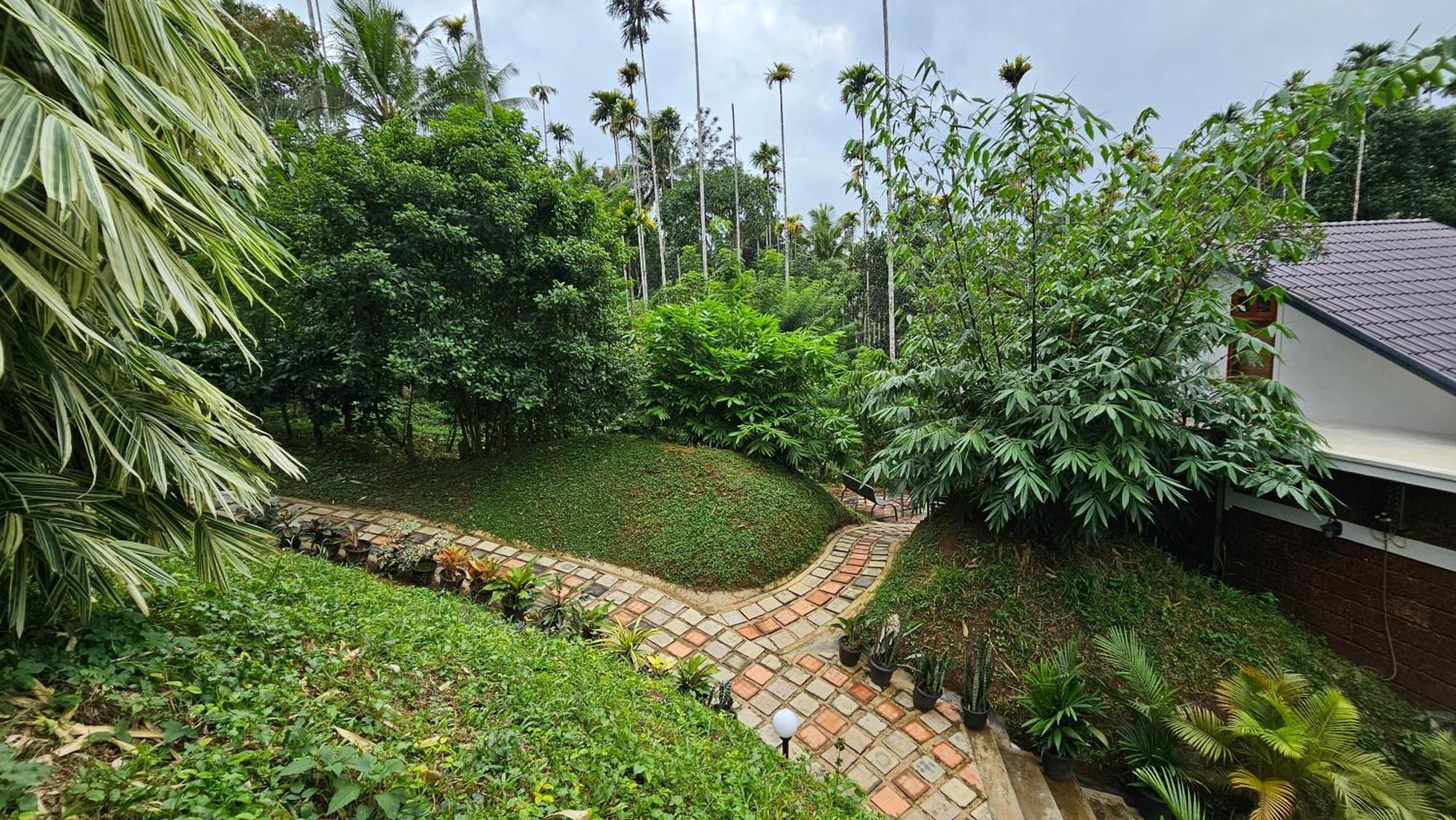 Casta Wild Resort Batheri Exterior photo