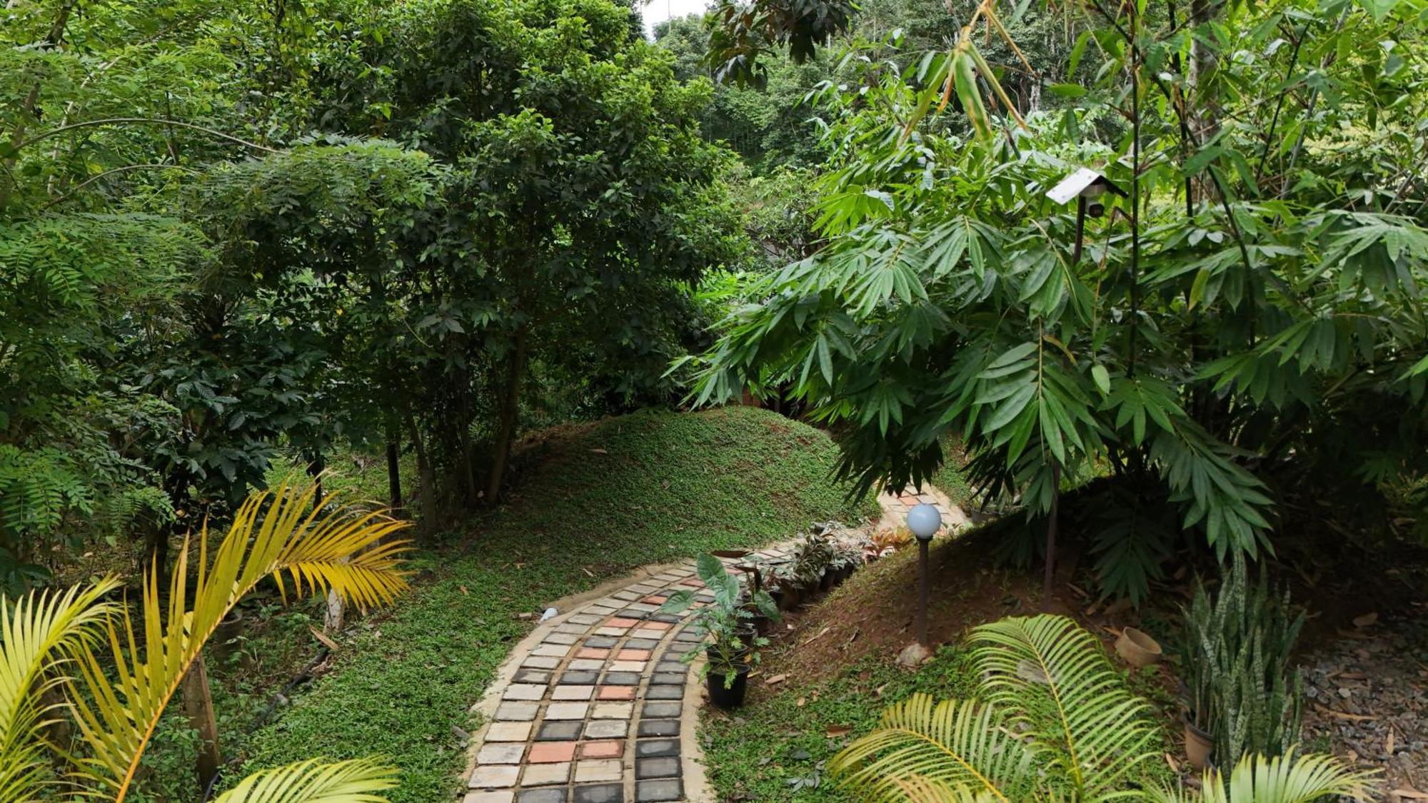 Casta Wild Resort Batheri Exterior photo