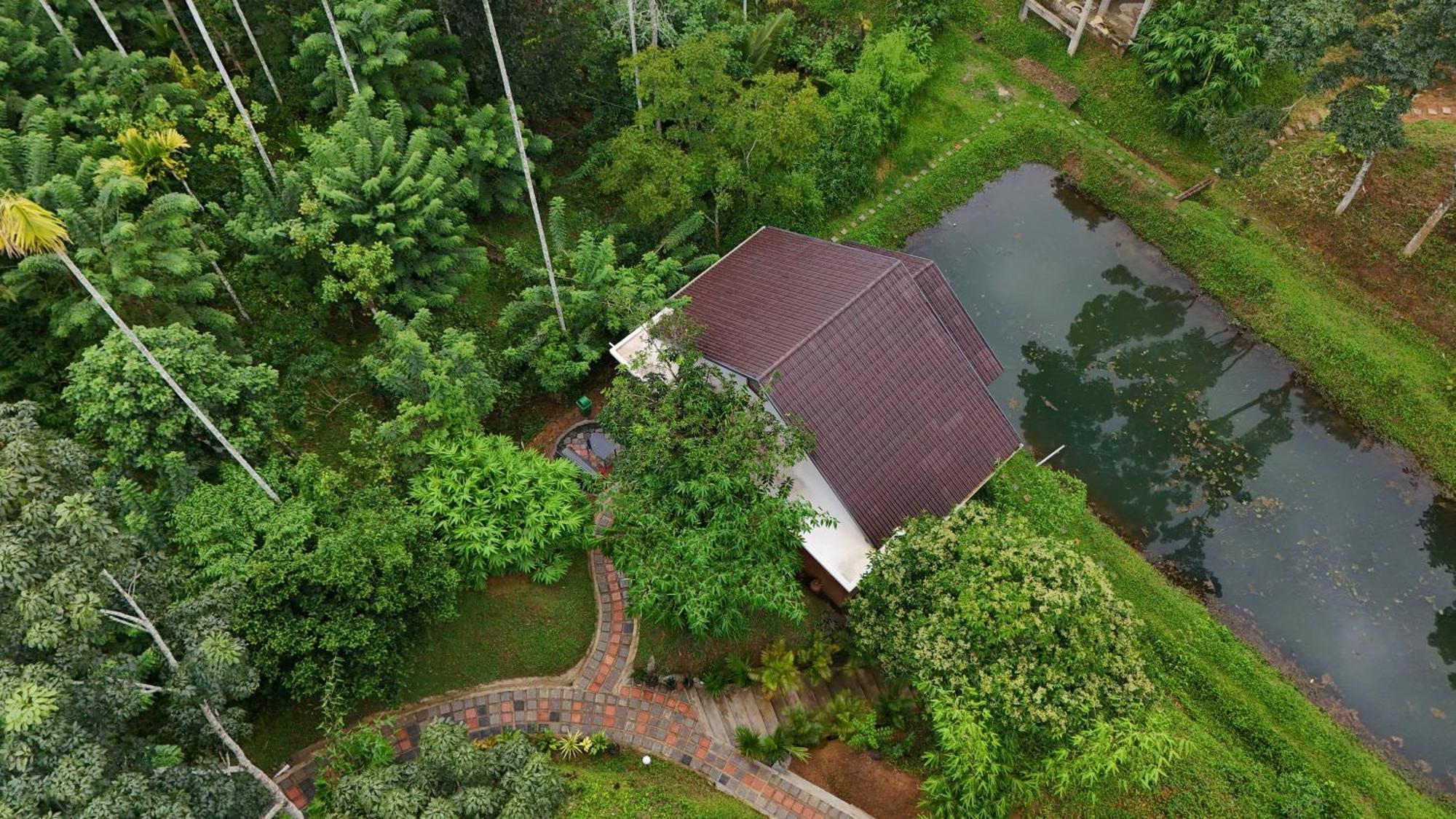 Casta Wild Resort Batheri Exterior photo